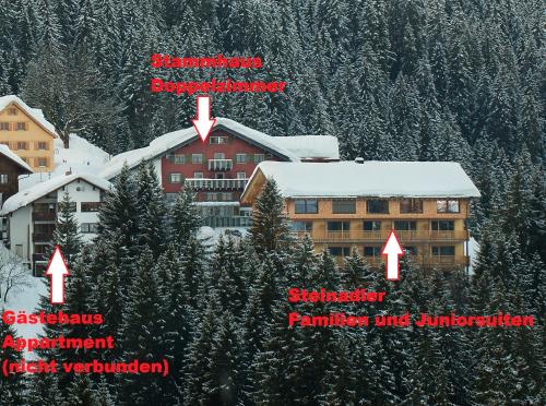 Adler Damüls Gasthof Hotel - image 11