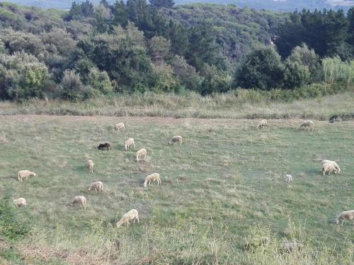 CAN LLOBET Espai Rural Slow