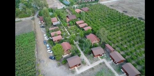 Hemera - image 5
