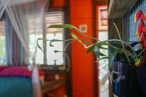 Mosana Reef Garden B&B