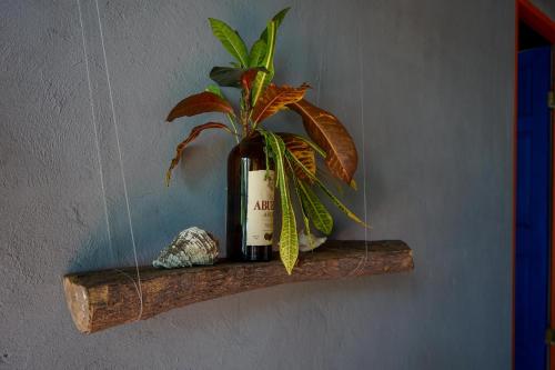 Mosana Reef Garden B&B