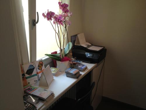 Le Ghiacciaie - image 10