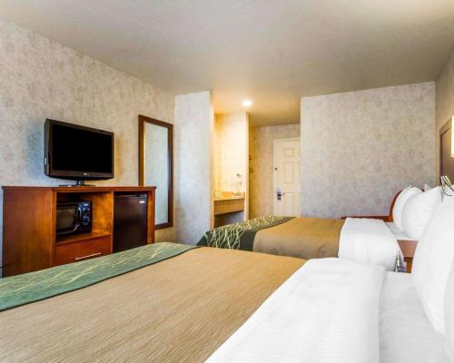 Foto - Comfort Inn Watsonville