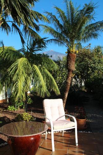 Finca La Punta, Icod de los Vinos (foto 4)