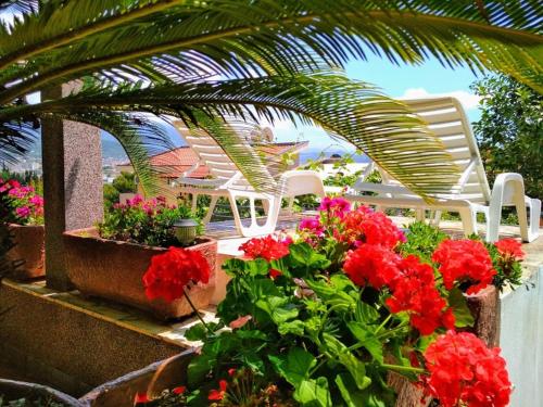 Comfort Apartments - image 12