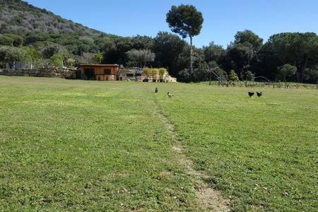 Casita en plena naturaleza con piscina y wifi gratis