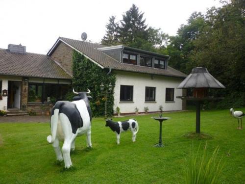 Land des Friedens in Nettersheim / Eifel - Apartment - Nettersheim