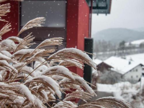 Haus Der Sinne In Viechtach Deutschland Bewertungen Preise