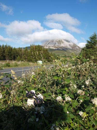 The Lookout Ardara - image 4
