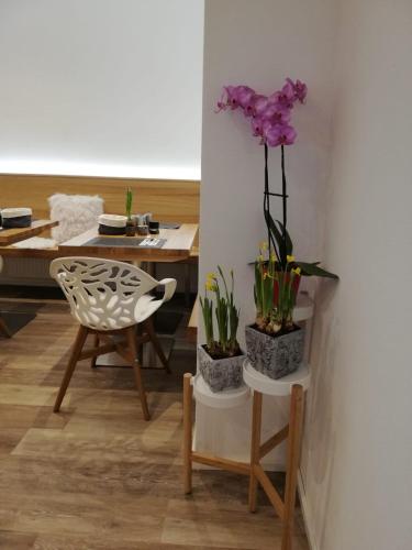 Flockner B&B in Salzburg