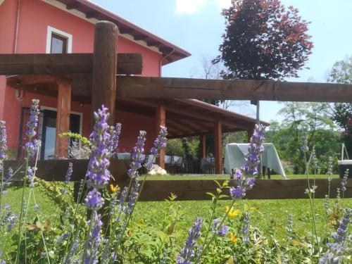 La Cascina Nel Bosco in Faicchio