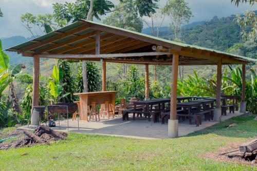 Ecolodge Rain