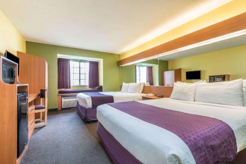 Microtel Inn & Suites by Wyndham Auburn in Auburn, USA