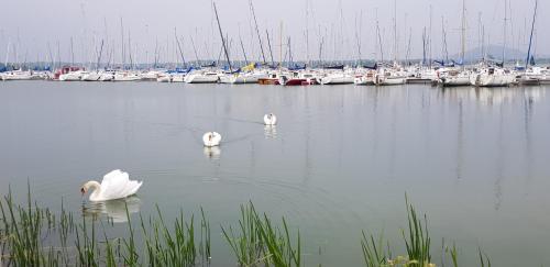 Gite Du Toilier – Thillot, MN