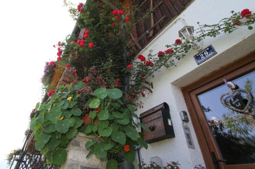 Appartment Eggerhof