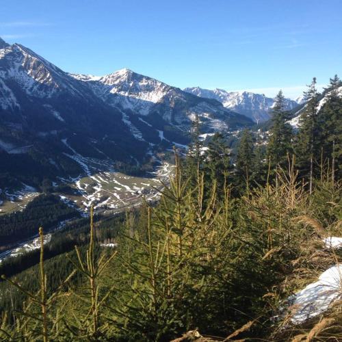 A környék, Ferienwohnung Bluemelhube Wohnung Anja in Vordernberg
