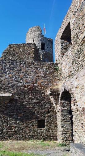 Gast und Weinhof Beim Schneemann - image 3