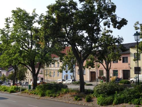 Gästehaus Familie Löffler - Ferienwohnung am Stadtplatz in Litschau (Gastehaus Familie Loffler - Ferienwohnung am Stadtplatz in Litschau) in 利特斯措