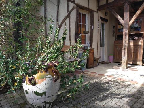 Ieeja, "Au campaner" chambres dans maison gasconne in Bartres