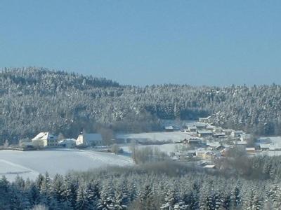 Ferienwohnung Sonja in Prackenbach, Deutschland