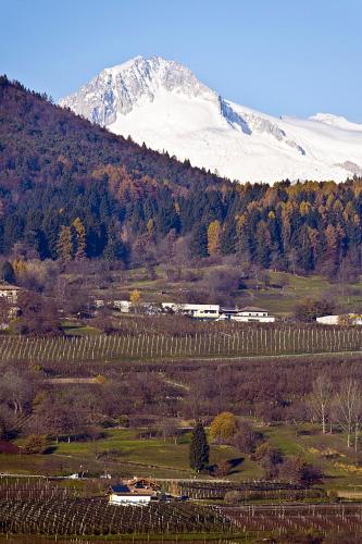 Agritur Maso Pra' Cavai B&B