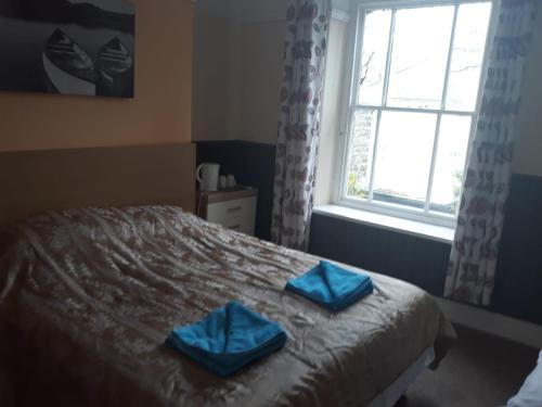 Llwynygog Guest House