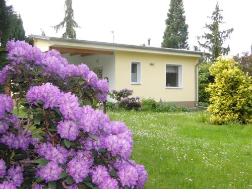 Sommerhaus im Grünen in Berlin, Deutschland