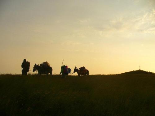 Ciuchi House gîte à louer Albera Ligure