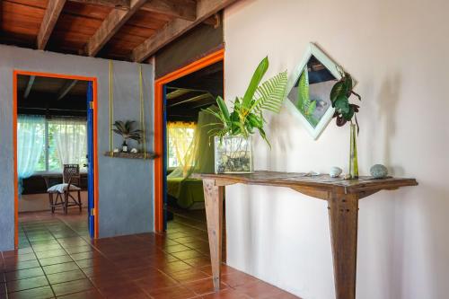 Mosana Reef Garden B&B