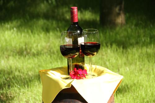 Podere Fichereto Tuscany Apartment in Florence countryside