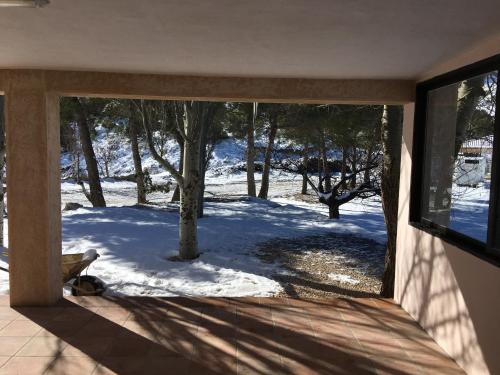 FINCA LA FOIA EL POU in Petrel