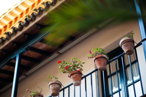 Alohamundi Lumbreras I, Sevilla (Foto 6)