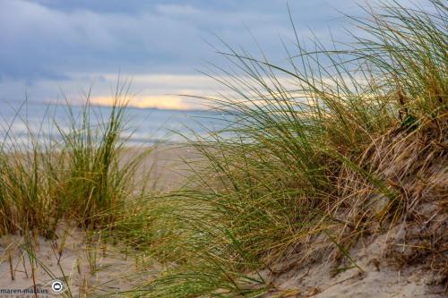 Inseltraum Norderney 1 Haus Bielefeld Apartment In Norden
