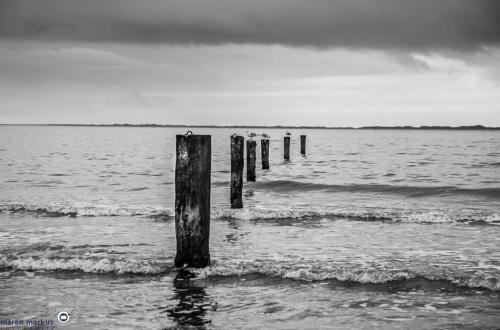 Inseltraum Norderney 1 Haus Bielefeld Apartment In Norden