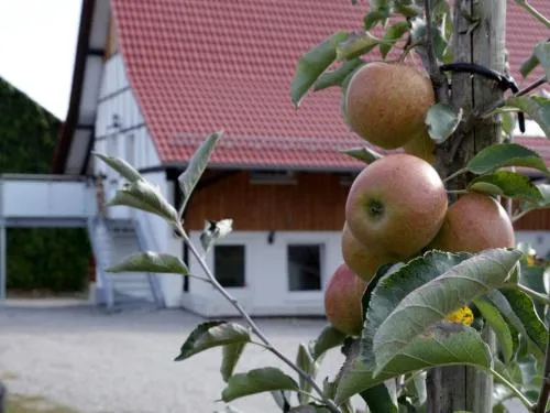 Ferienhof Waggershauser in Friedrichshafen, Deutschland