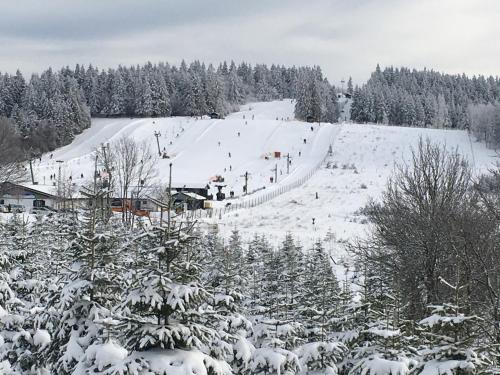 App mit Seeblick am Hillebachsee in Winterberg OT in Niedersfeld