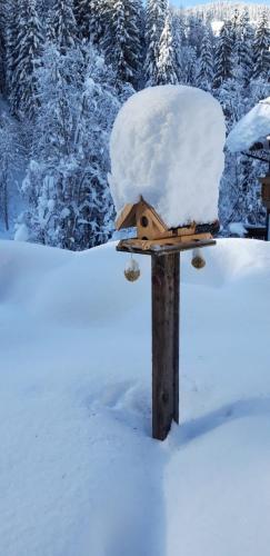 Haus Fichtenblick