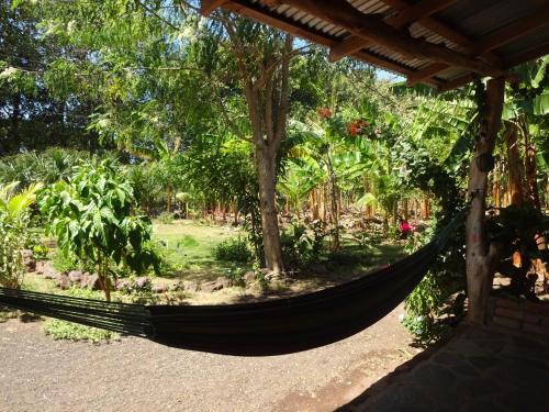 Casa Papaki in Mérida