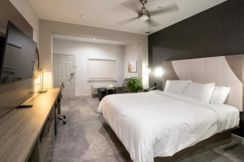 House Hotel in Houston, USA