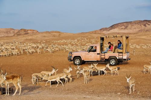 Anantara Sir Bani Yas Island Al Yamm Villa Resort