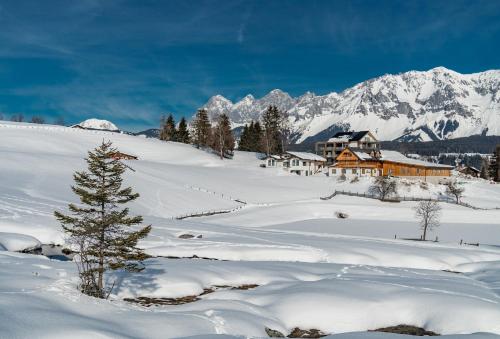Appartement - das kleine Bleiberger by Schladmingurlaub in Rohrmoos