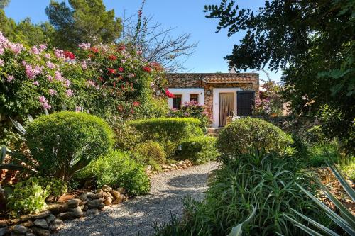 Villa Patri - image 10