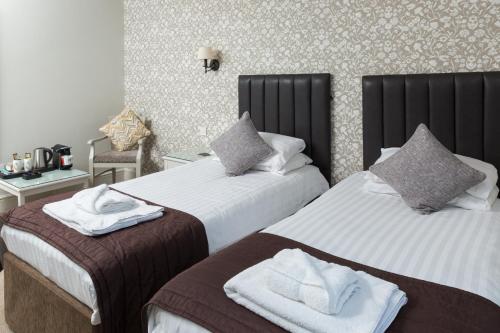 The Dog & Bear Hotel - image 7
