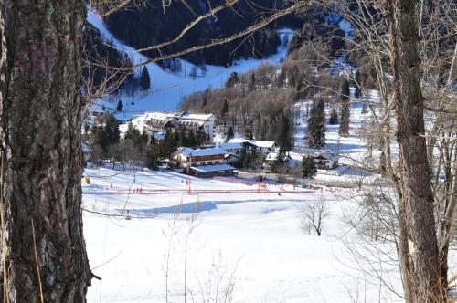 Hotel Flora Alpina 4