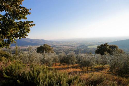 Villa Il Nido - image 10