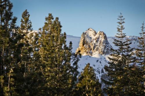 Mammoth View Villas 21 - image 4