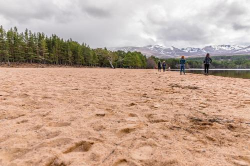 Macdonald Aviemore Woodland Lodges - image 3