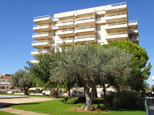 Apartamentos Mediterraneo-46 - Tap to explore photos