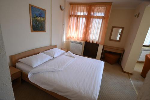 Hotel Mladost