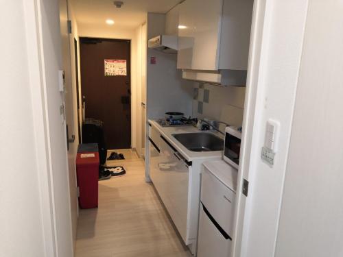 リブシティ錦糸町参番館上層階スカイツリーの眺望, Akihabara 6mins,Tokyo 8 mins, Direct to Narita Airport 成田空港直達, Tokio (fotografie 6)
